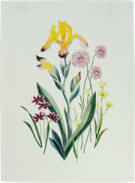 Sander Botanico Geschirrtuch 50x70cm 