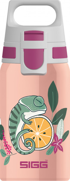 Sigg Trinkflasche Shield One Flora 0,5l