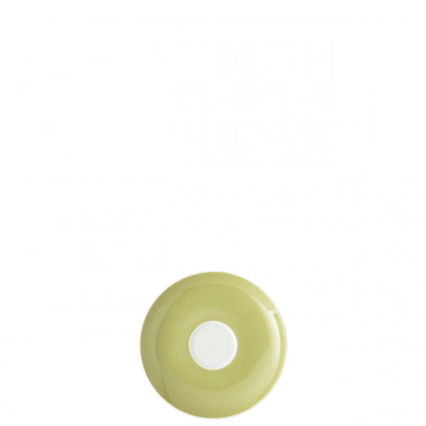 Sunny Day Avocado Green Espresso-Unterta.