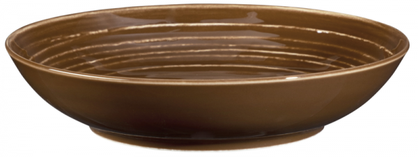 Seltmann Weiden Terra erdbraun Suppenteller rund 21cm