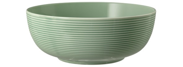 Seltmann Weiden Beat Salbeigrün  Foodbowl 20 cm