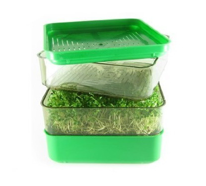 Luba Bergs Bio-Salad
